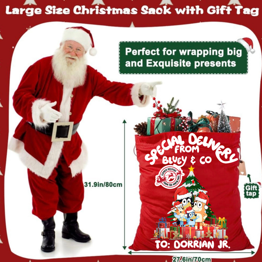 Santa Sack