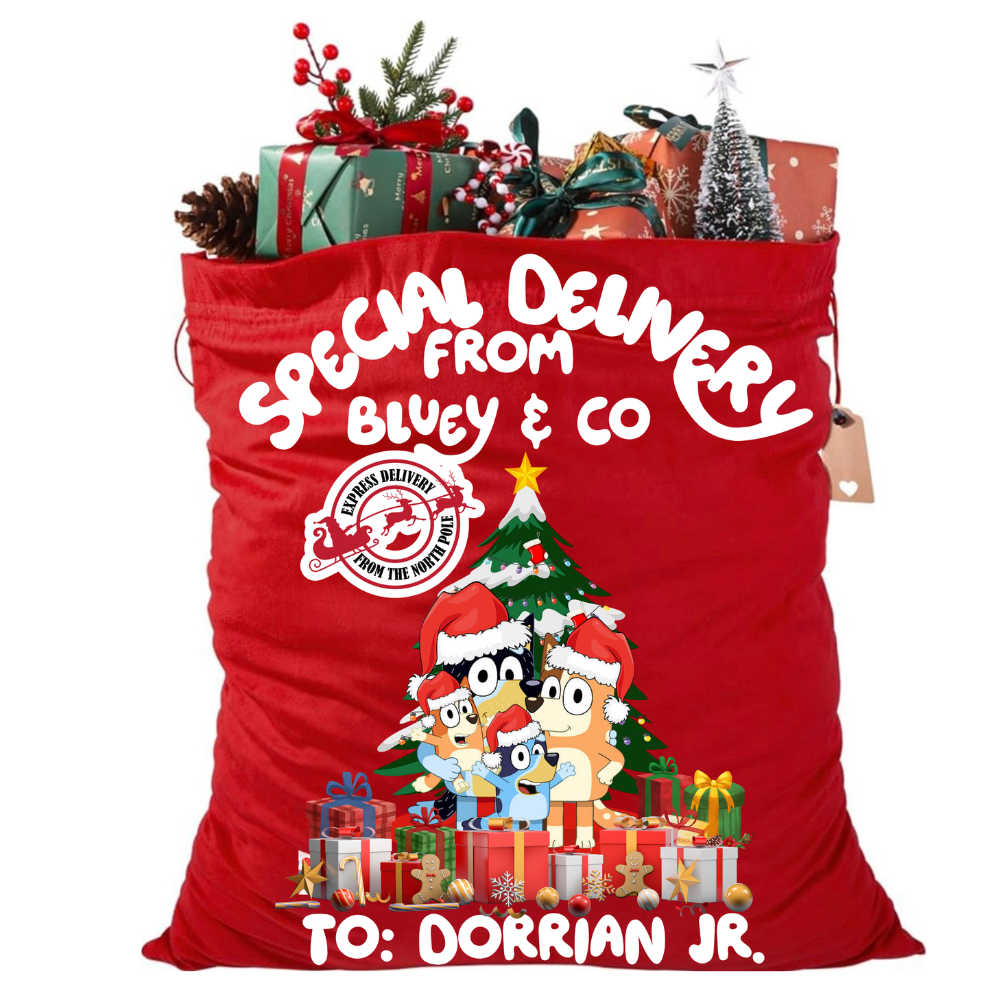Santa Sack